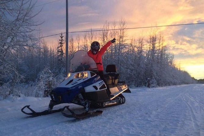 Fairbanks Snowmobile Adventure From North Pole - Breathtaking Winter Landscapes