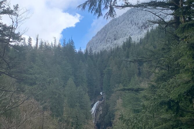 Forest Hike to Gorgeous Twin and Snoqualmie Falls - Whats Included