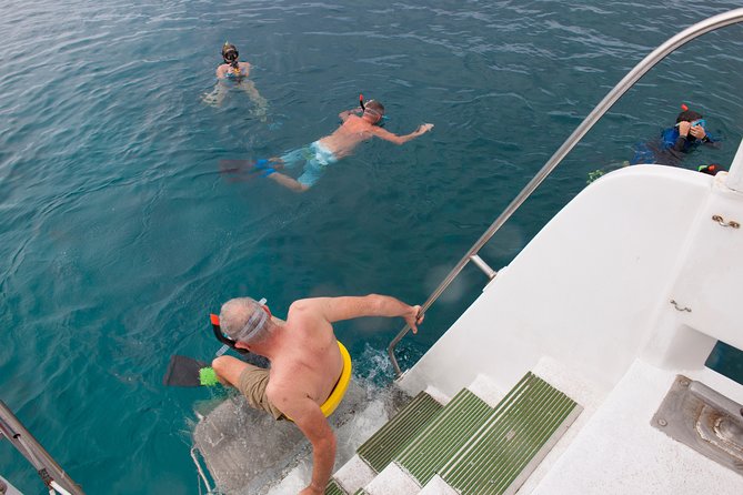 Four Winds Molokini Snorkeling Tour From Maalaea Harbor - Snorkeling at Molokini Crater