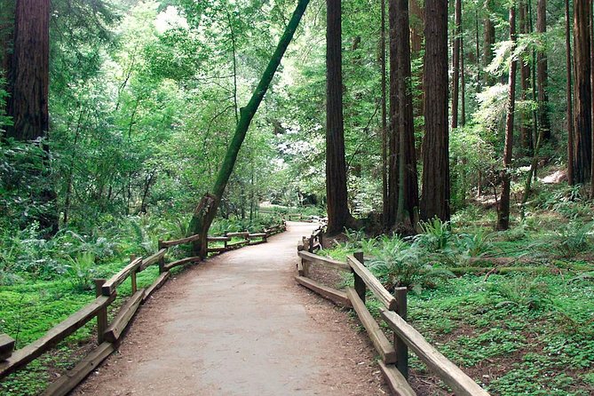 From San Francisco: Guided Tour to Muir Woods Coastal Redwoods - Exploring the Majestic Coastal Redwoods