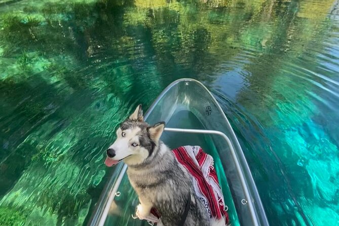 Glass Bottom Kayak Tours of Silver Springs - Flexible Tour Times and Accessibility