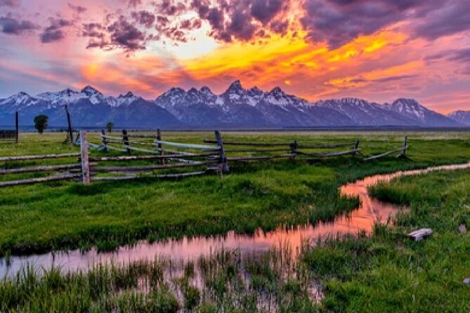 Grand Teton Wildlife Safari in a Enclosed or Open-Air Vehicle (Season Dependent) - Traveler Feedback and Experiences