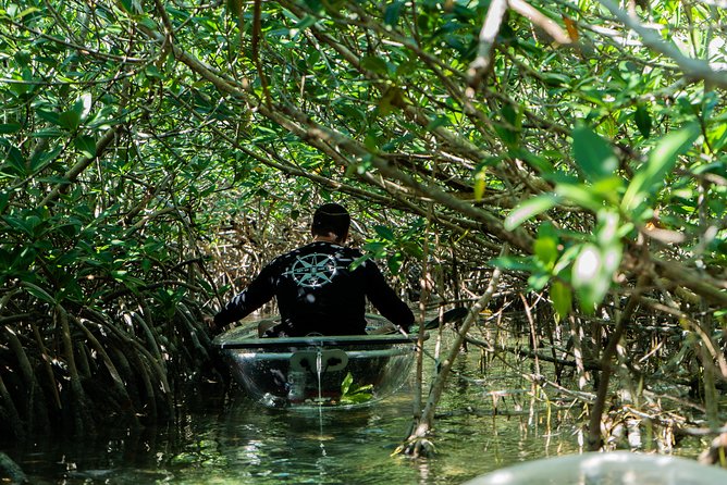 Guided Clear Kayak Eco-Tour Near Key West - Logistics and Meeting Point