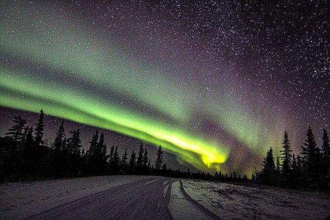 Incredible Aurora Viewing Adventure - Visibility Predictions