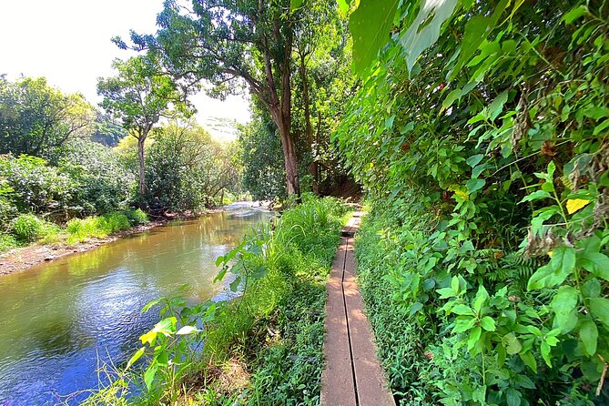 Kauai Adventure: Kayak & Hike to Secret Falls With Expert Guide - Health and Safety Considerations