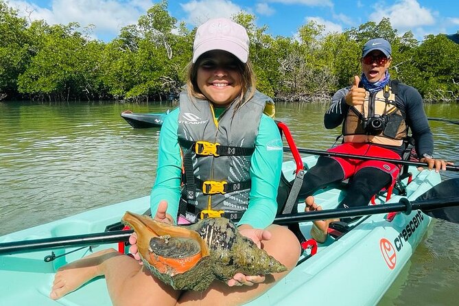 Kayak Tour Adventure Marco Island and Naples Florida - Wildlife Encounters