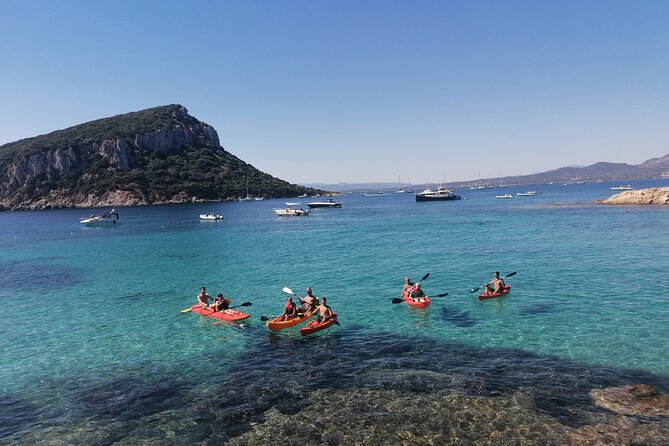 Kayak Tour With Aperitif and Dolphins - Pre-Departure Kayaking Lesson