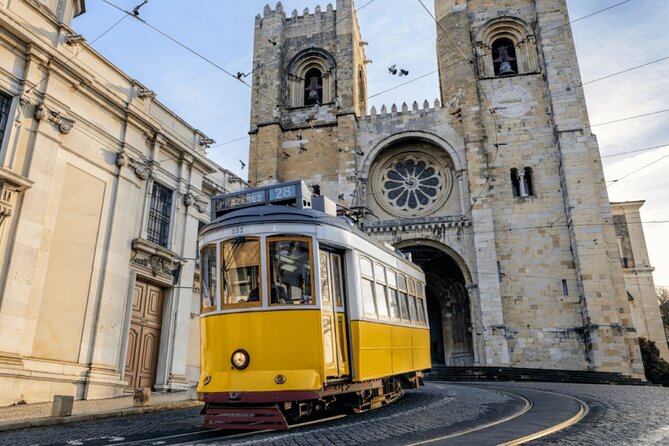 Lisbon Private Driver and Customizable Tour - Areas for Improvement and Commitment to Service