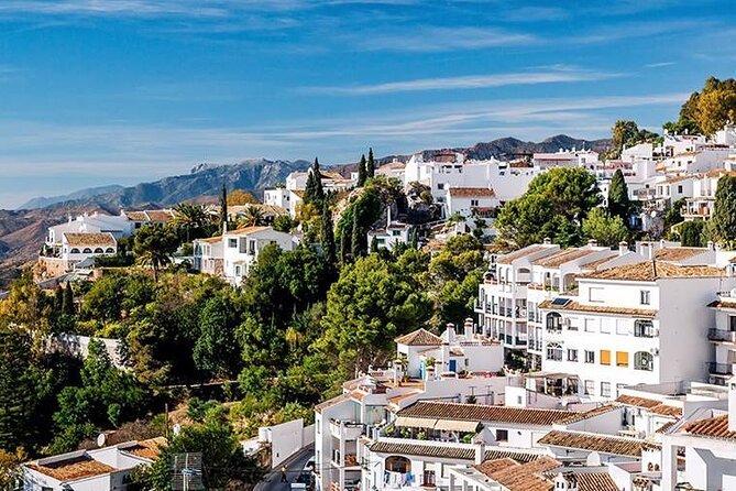 Mijas: Panoramic City Tour With an Electric Tuk Tuk - Ethical Alternative to Donkey Rides