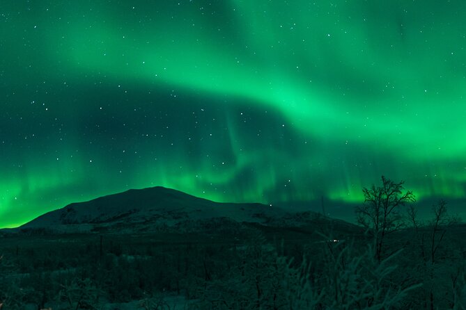 Northern Lights Tour From Kiruna to Abisko With Dinner - Capturing the Northern Lights