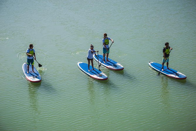 Seville: Paddle Surf Route and Class - Customer Testimonials and Feedback