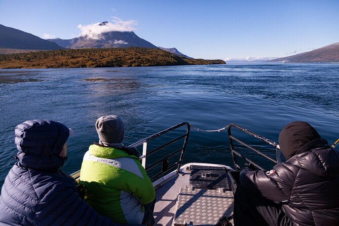 Tromsø: All-inclusive Polar Fjord & Fishing Cruise - Positive Feedback From Previous Customers