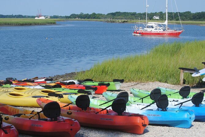 2-Hour Guided Kayak Eco Tour in Charleston - Customer Experiences and Feedback