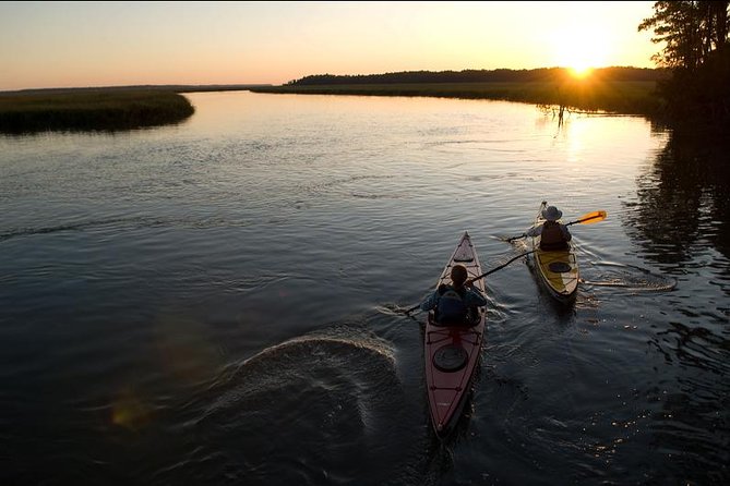 2-Hour Hilton Head Guided Kayak Nature Tour - Guest Experiences and Recommendations