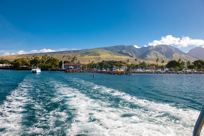 2-Hour Oahu Whale Watch From Ala Wai Harbor, Waikiki - Crew Expertise and Informative Guidance