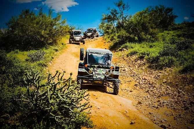 3 Hour Guided TomCar ATV Experience in Sonoran Desert - Group Size and Frequency of Departures