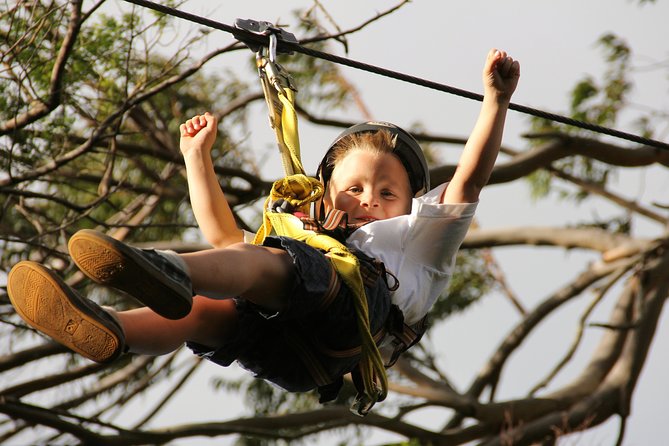 7-Line Maui Zipline on the North Shore - Thrills and Scenic Vistas