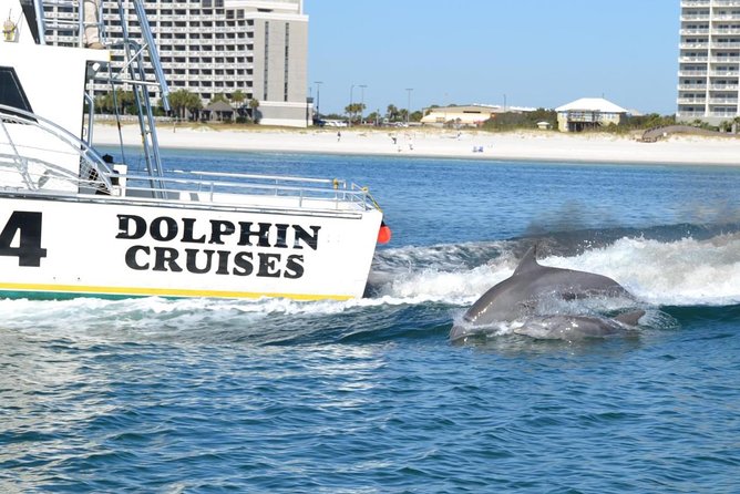 Alabama Gulf Coast Dolphin Cruise - Potential Drawbacks Mentioned in Reviews