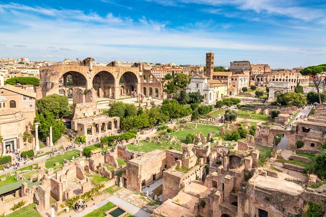 Ancient Rome Guided Tour: Colosseum, Forum and Palatine - Recommendations for Participants