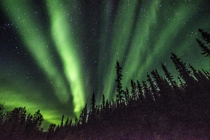 Arctic Circle and Northern Lights Tour From Fairbanks - Customer Feedback and Recommendations