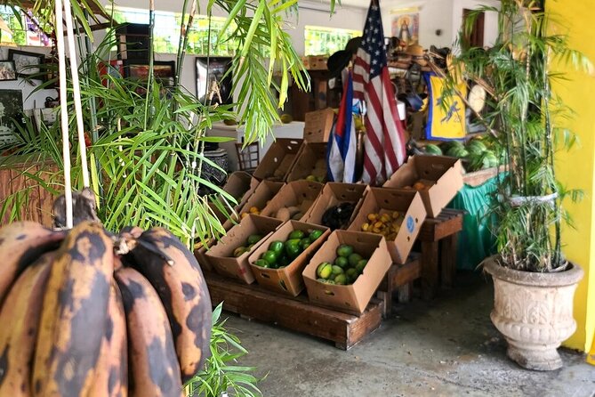 Authentic Little Havana Food and Culture Walking Tour - Knowledgeable and Friendly Guides