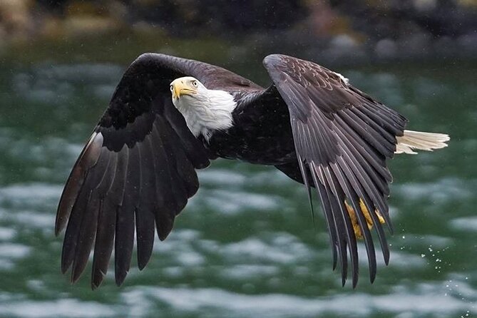 Bering Sea Crab Fishermans Tour From Ketchikan - Weather and Conditions