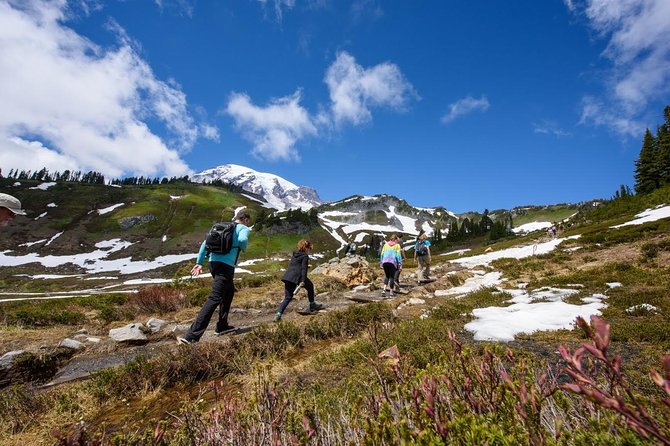 Best of Mount Rainier National Park From Seattle: All-Inclusive Small-Group Tour - Discovering the Cascading Waterfalls