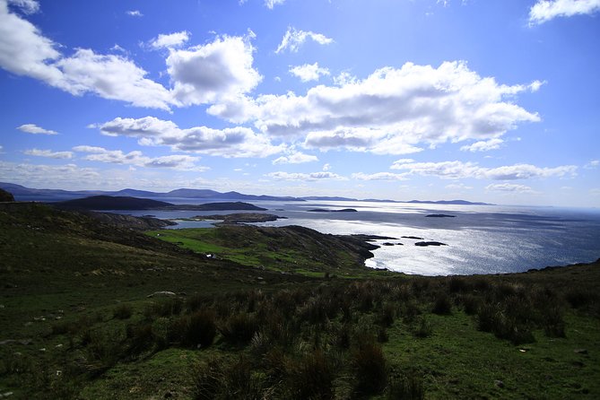 Best Ring of Kerry Tour Ex Killarney Inc Killarney National Park - Experiencing the Sheepdog Demonstrations