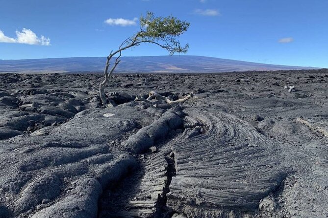 Big Island Waterfalls Tour With Swimming and Botanical Garden - Rainbow Falls