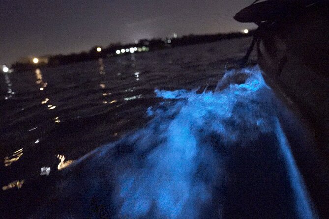 Bioluminescence Kayak Tour - Tips for an Unforgettable Kayak Adventure