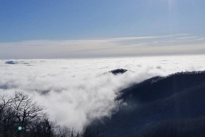 Blue Ridge Parkway Waterfalls Hiking Tour From Asheville - Weather Considerations and Cancellation Policy