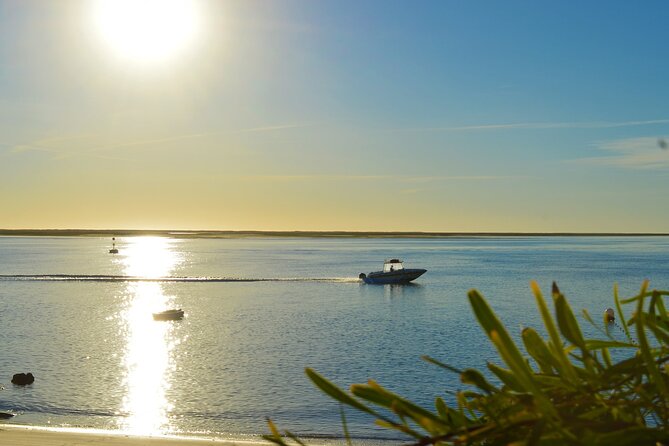 Boat Tour of 2 Ria Formosa Islands: Culatra and Armona - Meeting Point and Accessibility