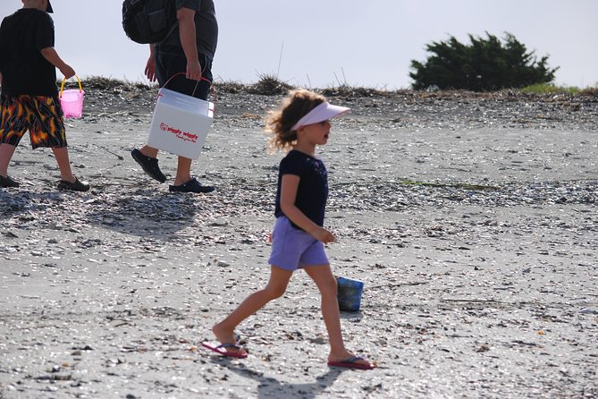 Charleston Eco Boat Cruise With Stop at Morris Island Lighthouse - Customer Reviews and Feedback