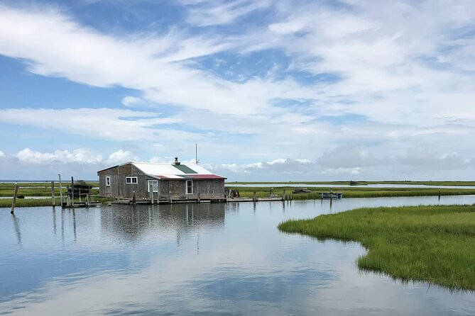 Chincoteagues Up The Bay Pony and Wildlife Tour by Boat - Who Should Consider This Tour