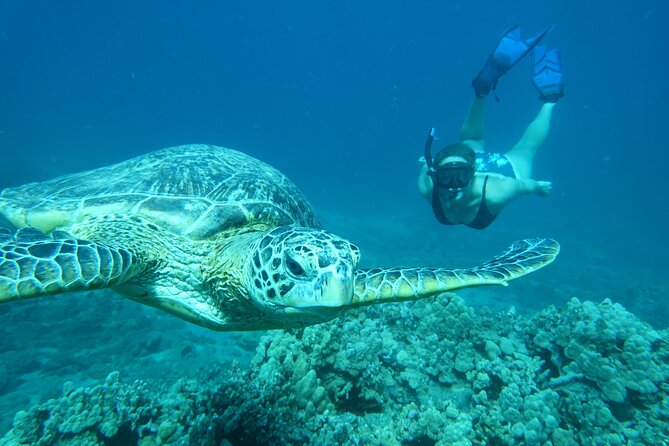 Clear Bottom Kayak and Snorkel Tour at Turtle Town, Makena - Planning Your Adventure