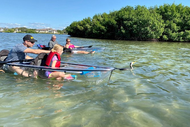 Clear Kayak Tour of Shell Key Preserve and Tampa Bay Area - Guest Feedback and Recommendations