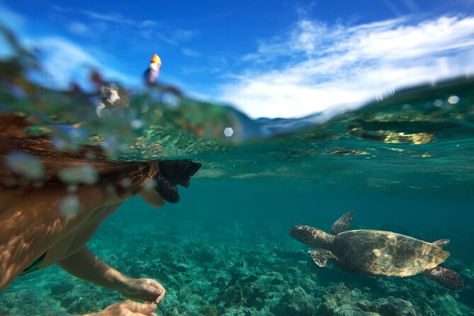 Cozy Oahu Circle Island Tour (14 Max) + Byodo-In Temple + Suprise - Embracing Hawaiian Culture and Scenic Beauty