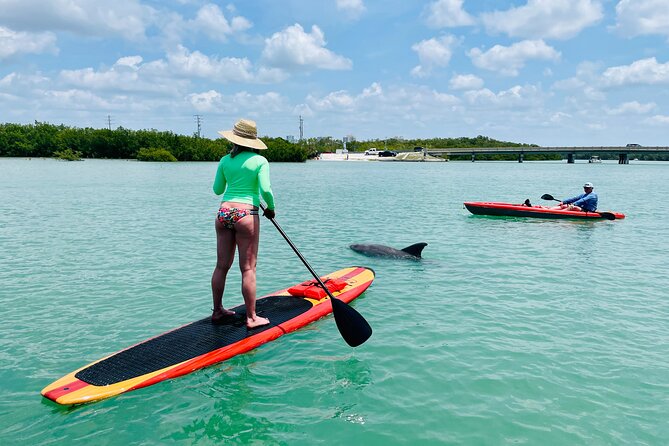 Dolphin and Manatee Adventure Tour of Fort Myers - Booking and Confirmation