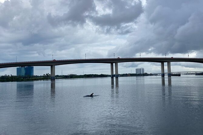 Dolphin and Manatee Stand Up Paddleboard Tour in Daytona Beach - Navigating the Scenic Canals