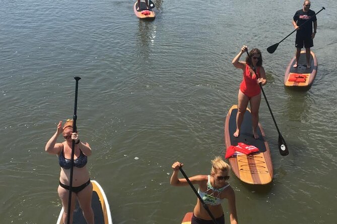 Dolphin, Manatee and SeaTurtle SUP Adventure Tour of St Augustine - Guided Tour Insights