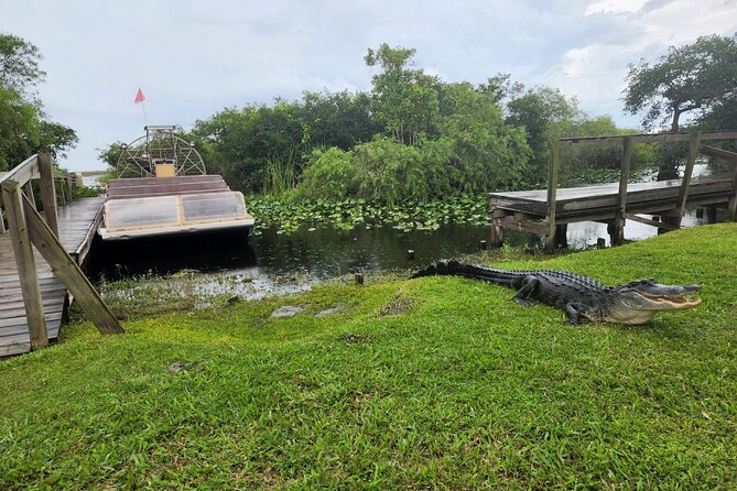 Everglades National Park Biologist Led Adventure: Cruise, Hike + Airboat - Booking and Logistics for Your Adventure