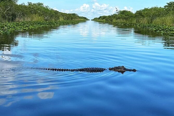 Everglades Tour From Miami With Transportation - Frequently Asked Questions (FAQs)