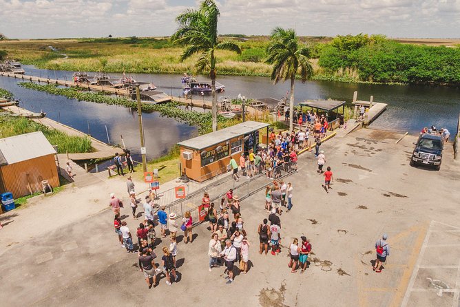 Everglades VIP Airboat Tour With Transportation Included - Wildlife and Nature Highlights