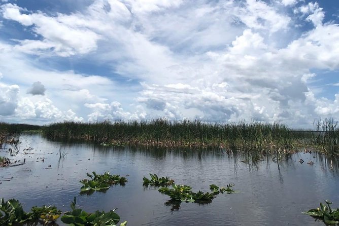 Florida Everglades Airboat Tour and Wild Florida Admission With Optional Lunch - Pricing and Booking Options