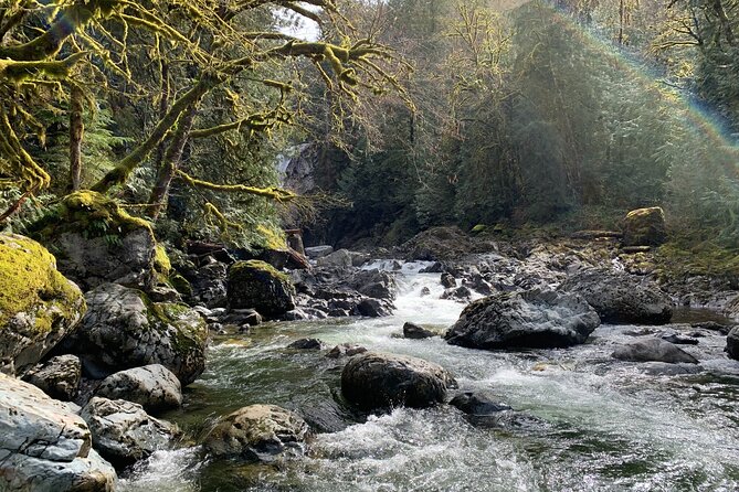 Forest Hike to Gorgeous Twin and Snoqualmie Falls - Customer Experiences