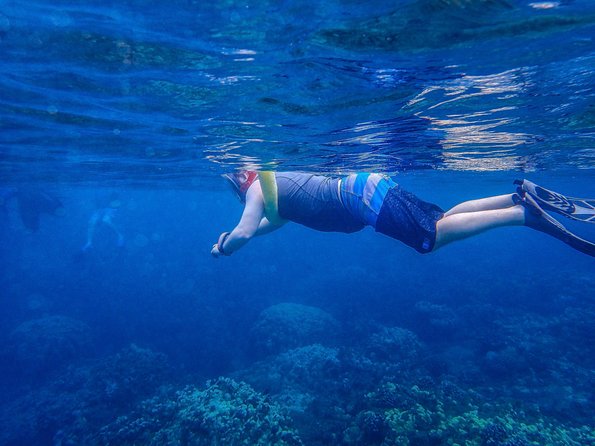 Four Winds Molokini Snorkeling Tour From Maalaea Harbor - Onboard Amenities and Activities