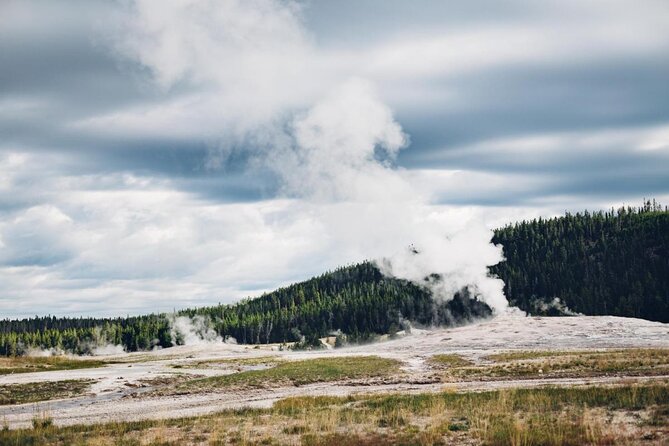 From Jackson Hole: Yellowstone Old Faithful, Waterfalls and Wildlife Day Tour - Traveler Feedback and Recommendations