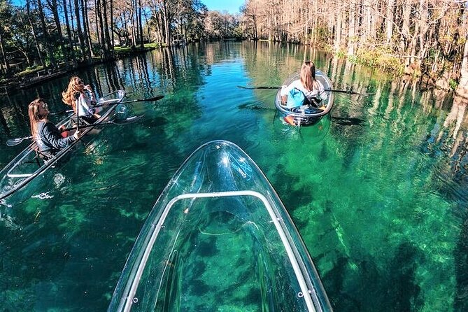 Glass Bottom Kayak Eco Tour Through Rainbow Springs - Guided Tour