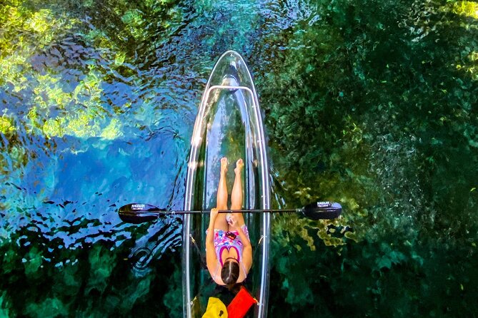 Glass Bottom Kayak Tours of Silver Springs - Knowledgeable and Friendly Guides