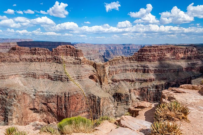 Grand Canyon, Hoover Dam View, Skywalk & Lunch Options, Free WiFi - Traveler Feedback and Experiences